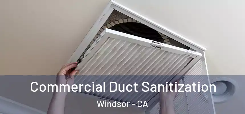 Commercial Duct Sanitization Windsor - CA