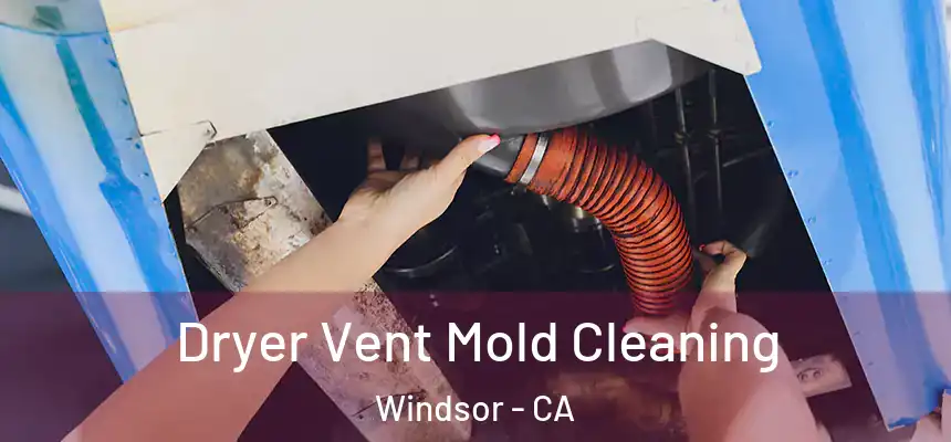 Dryer Vent Mold Cleaning Windsor - CA