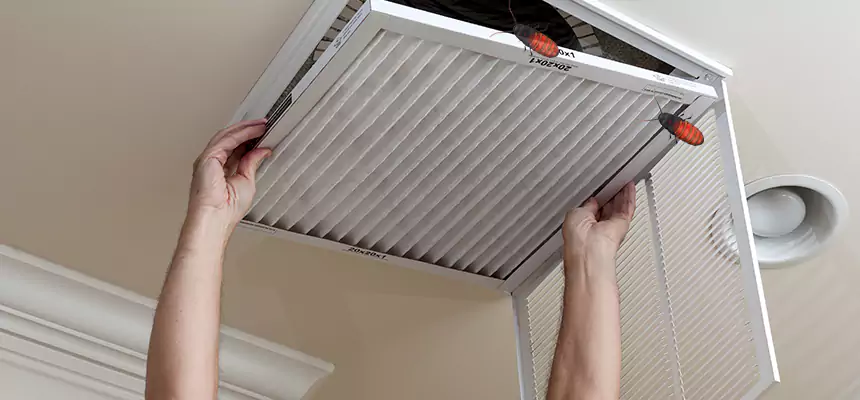 Preventive Cockroach-Proofing for Ducts in Windsor