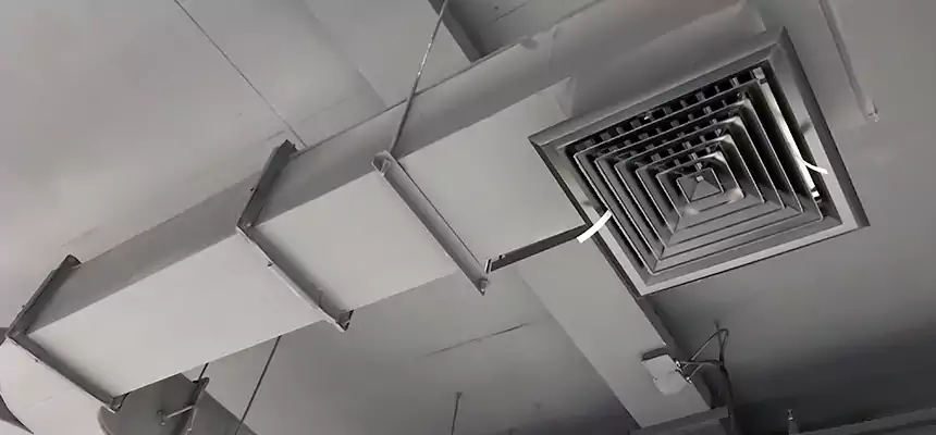 Restorative Allergy Relief Vent Cleaning – Coil, Blower & Housing Detail in Windsor