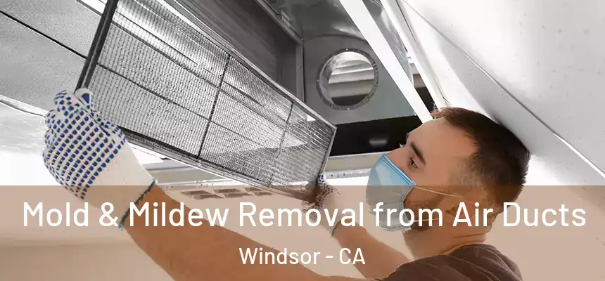  Mold & Mildew Removal from Air Ducts Windsor - CA
