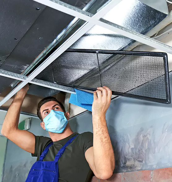 About Air Duct Bacteria Removal in Windsor