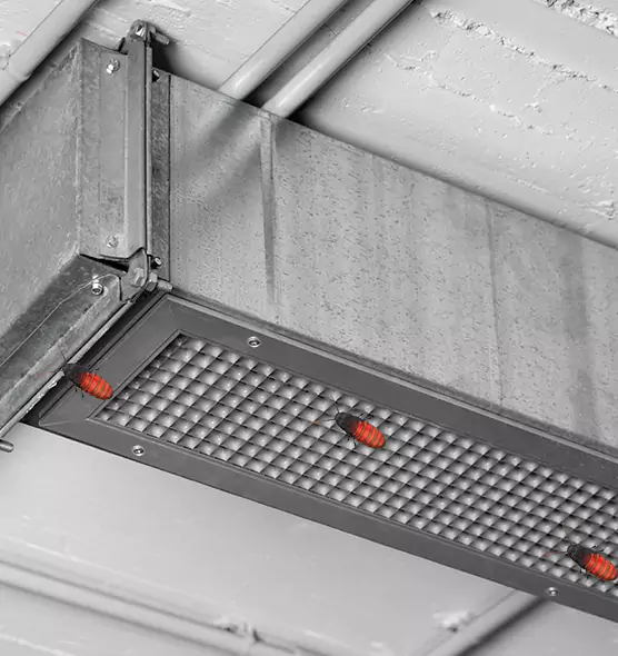 About Air Duct Cockroach Removal in Windsor, CA