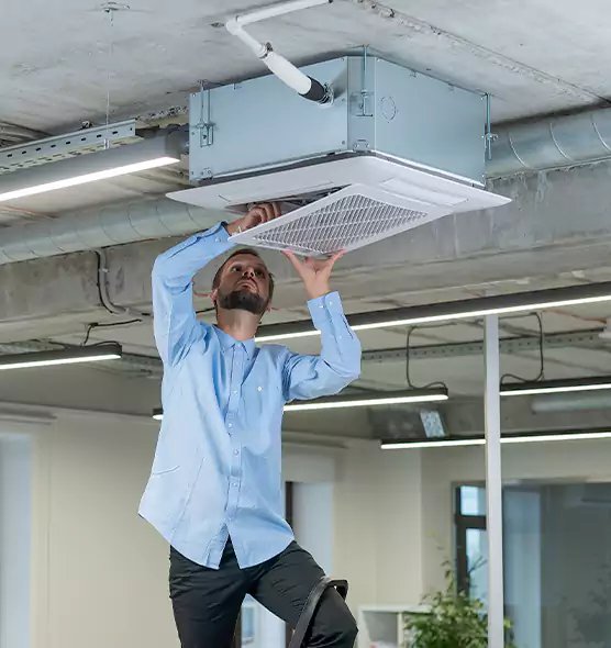 Advanced Rodent Droppings In Vents in Windsor, CA