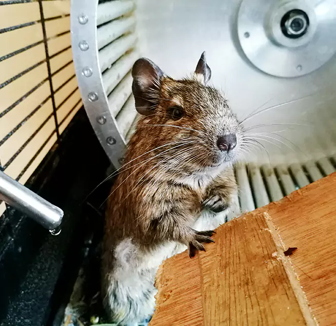 Why Homeowners & Businesses Trust Us Windsor, CA