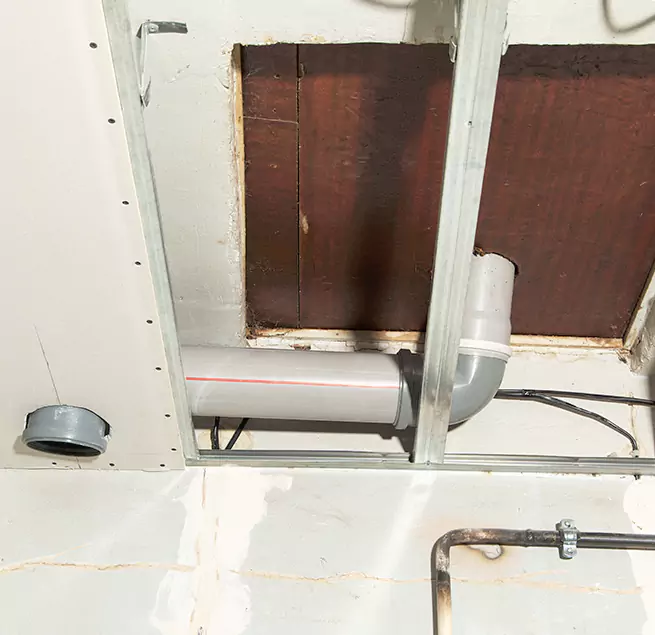 Why Homeowners & Businesses Trust Us in Windsor, CA?