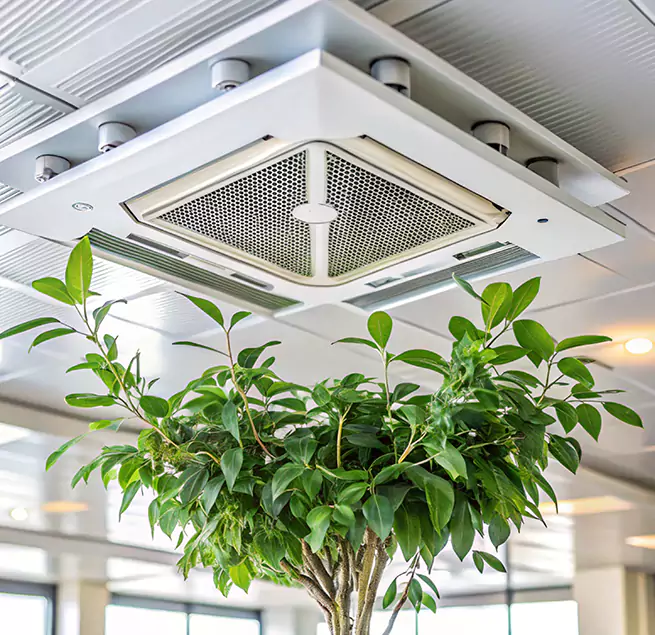 Why Homeowners & Businesses Trust Us in Windsor, CA