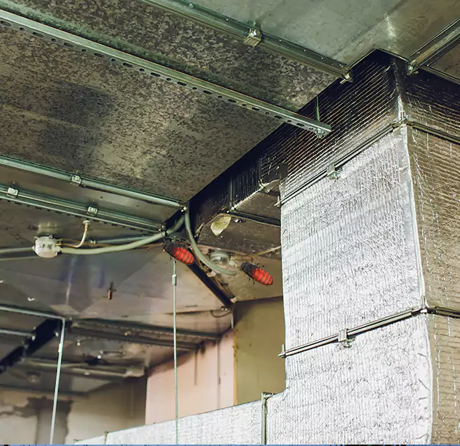 Why Homeowners & Businesses Trust Us Windsor, CA?