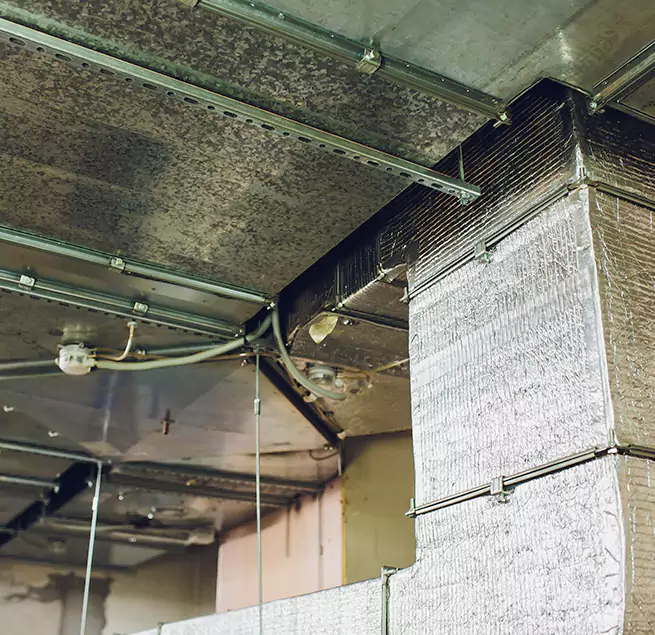 Why Homeowners & Businesses Trust Us in Windsor, CA?