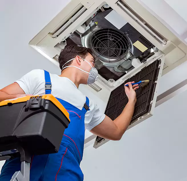 Why Homeowners & Businesses Trust Us in Windsor, CA?